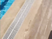 syka001 - загарает