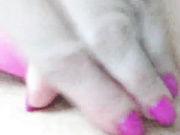 LadyDi11