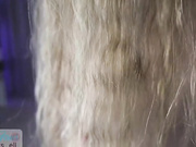 Molly_Doolly