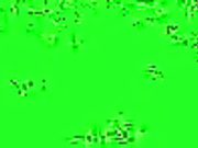 Nik-Marinson1