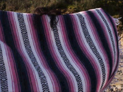 sarahxjackson public beach sex premium xxx porn