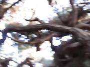 sarahxjackson public fuck amp suck on a beachside cliff