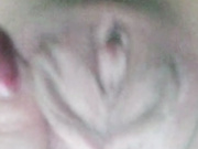 LadyDi11