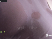 pippalee 2021-01-26