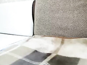 Lilly_August