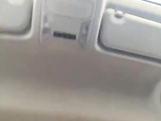 Lusi19