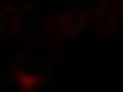 Lera Koval(Izmaylova