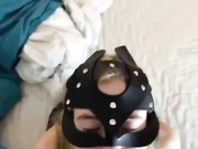 sweetbunny231
