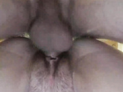Sexy-386