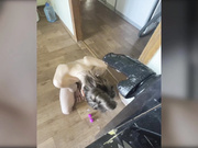 Nata-v-halate безумный горловой