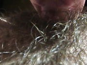 ДЕВИЦА ТЕРЕБИТ.