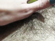 ДЕВИЦА ТЕРЕБИТ.