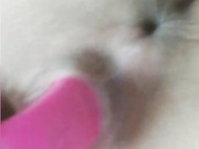 LadyDi11