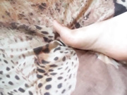 ShyKitty22
