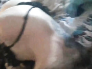 Loppii2