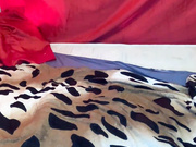 NastyaStasXXX