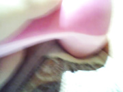 princess888