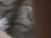 Angelll3