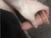 Angelll3