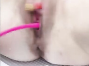 SweetPupsa