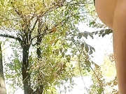 ButterflySay
