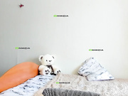 ---Belka---