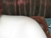 --aleksa-