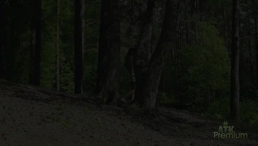 КРАСИВАЯ ДЕВИЦА ДРОЧИТ НА ПРИРОДЕ