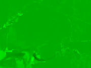 Zlata 912-2022-08-30