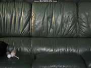 StellaCardo