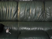 StellaCardo