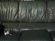 StellaCardo