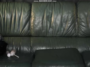 StellaCardo