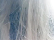 ----Angel---