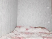 Eva-Bella 13.11.2022