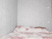 Eva-Bella 13.11.2022