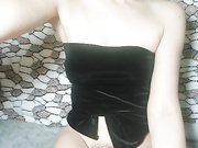 ToxicTiger 19.11.2022