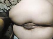 ToxicTiger 19.11.2022