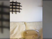 Eliness трах киски-2