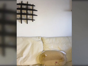 Eliness трах киски-2