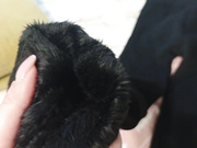 Katerinagreiz