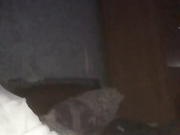 Silencevii1 04.12.2022