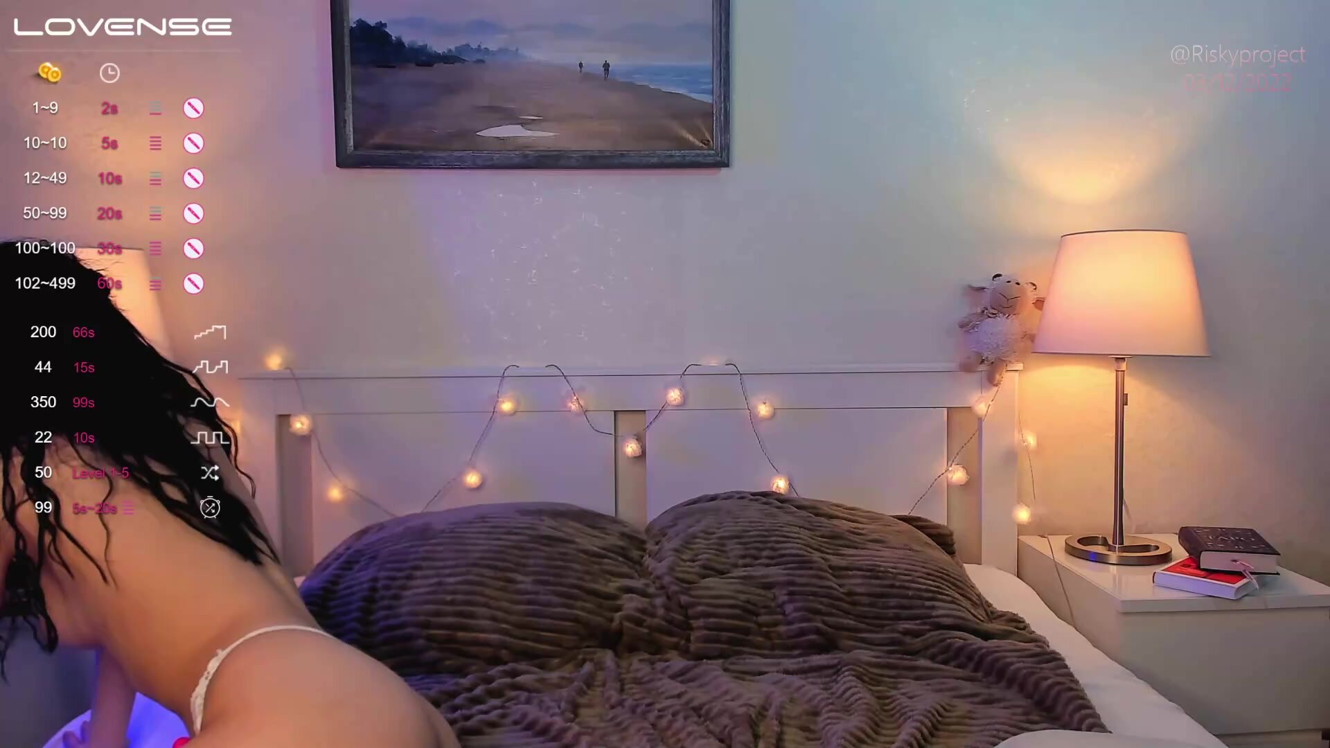 riskyproject 2022-12-03