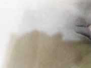 Спящая красавица