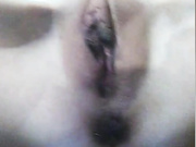 MISSPAFOS