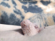 BIGCLITBabe таким может и выебать