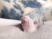 BIGCLITBabe таким может и выебать