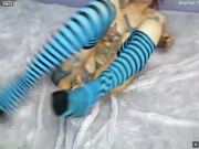 KandyKitten03012017
