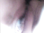 MISSPAFOS