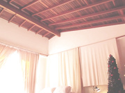 kendalltyler 2022-12-28